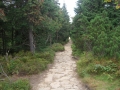 39_CIMG2375