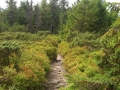 49_CIMG2407