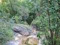 14_eDSC_0569
