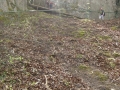 CIMG0090.JPG