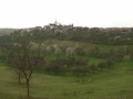26_CIMG3004