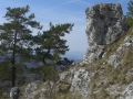 CIMG0013.JPG